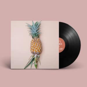 vinyl 1 1