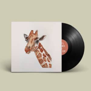 vinyl 2 1