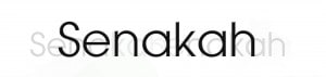 senakah, band logo, ama music agency, emerging talent, press info